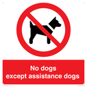 no-dogs-except-assistance-dogs~